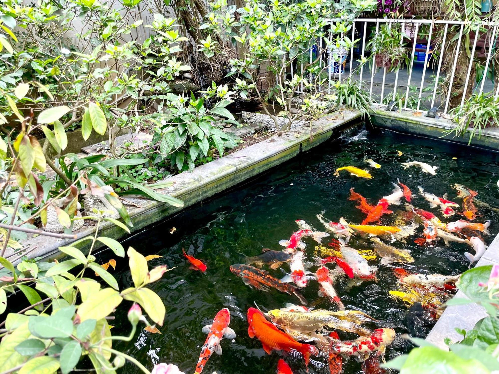 Lee Homestay Hanoi Eksteriør billede