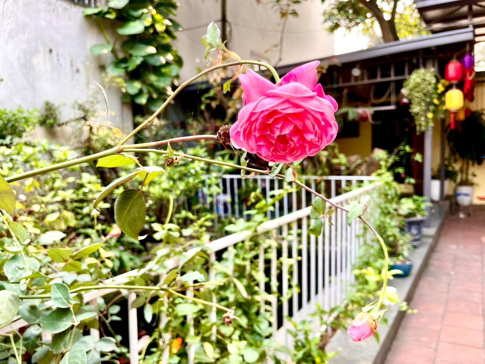 Lee Homestay Hanoi Eksteriør billede