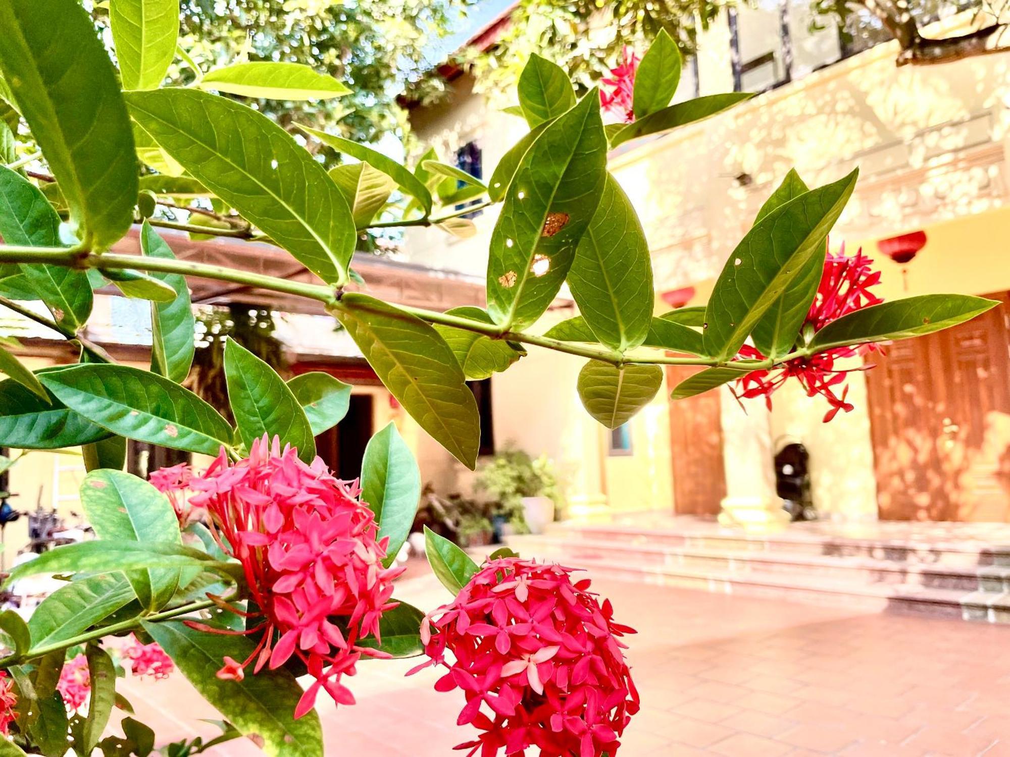 Lee Homestay Hanoi Eksteriør billede