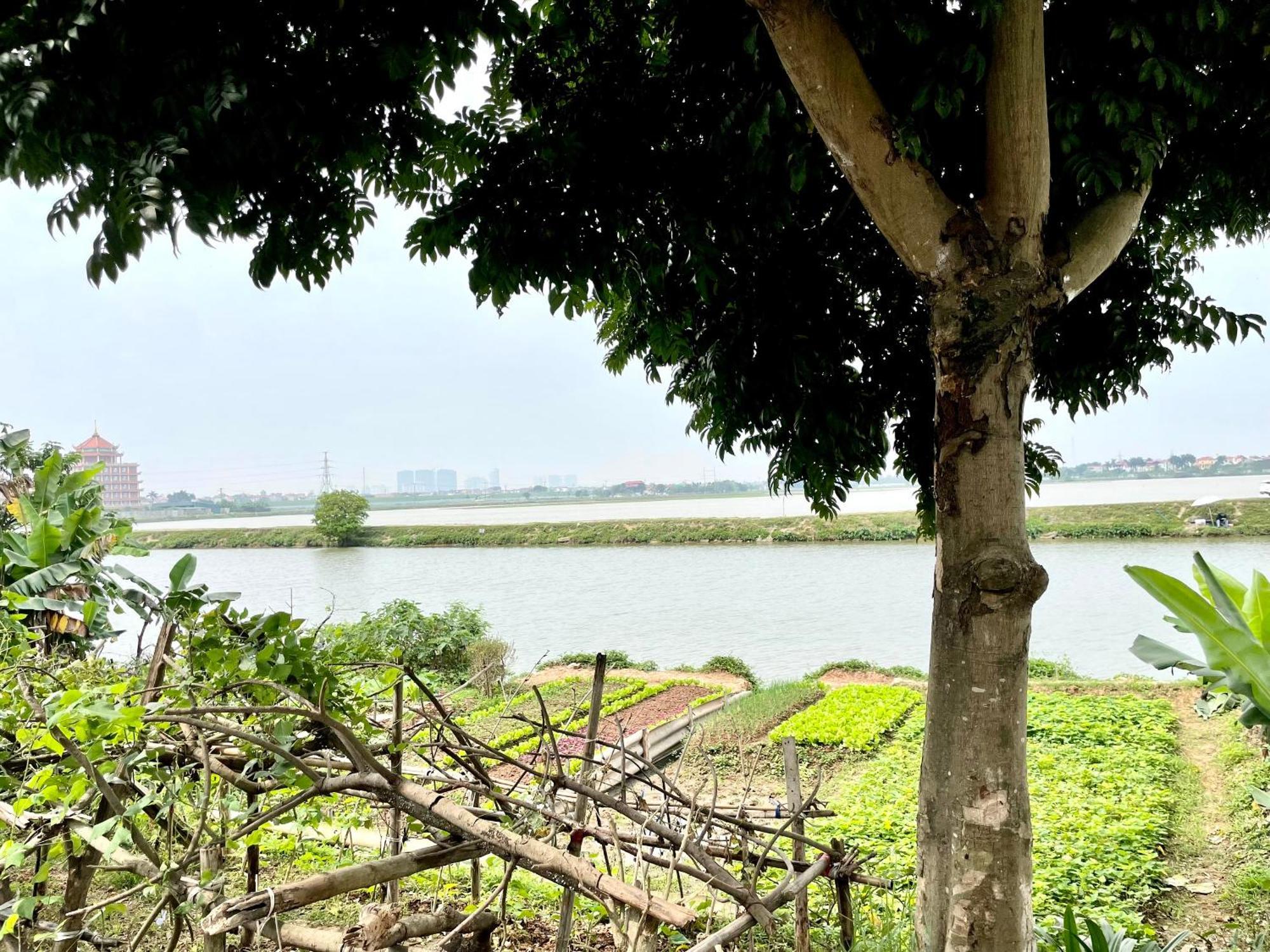Lee Homestay Hanoi Eksteriør billede